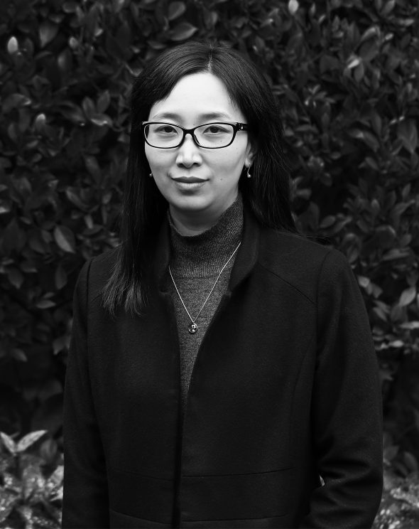 Feifei Xu (许飞菲) | Executive Director at Siegel+Gale