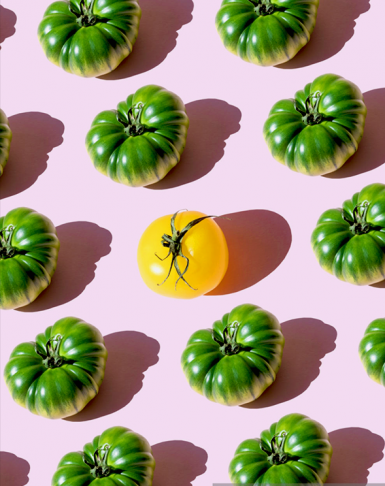 Yellow tomato surrounded by green tomatoes, creating a brand visual identity that stands out