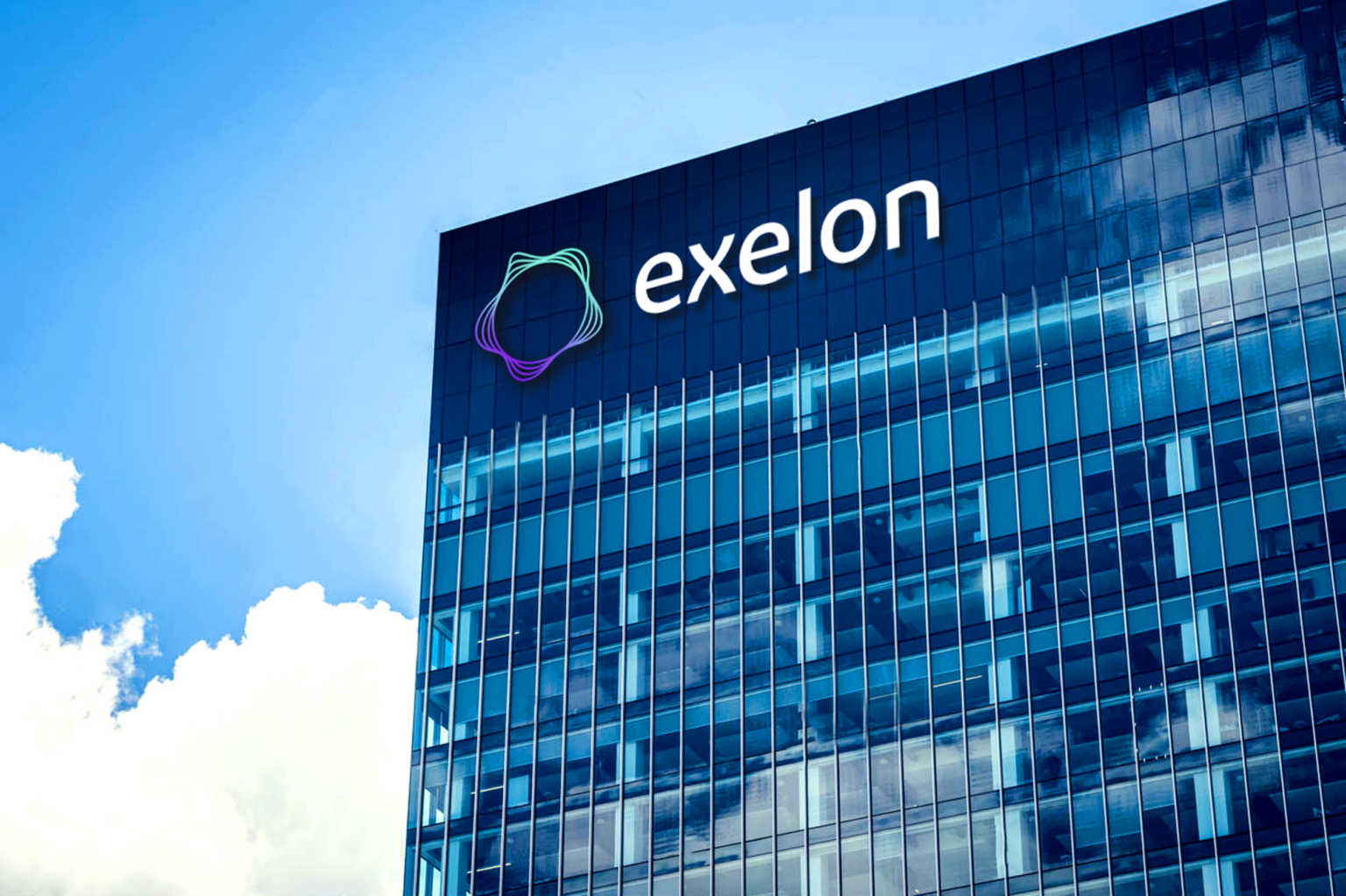 Exelon Brand and Visual Identity Case Study The Energy Wave Symbol